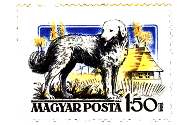 Stamp 1956